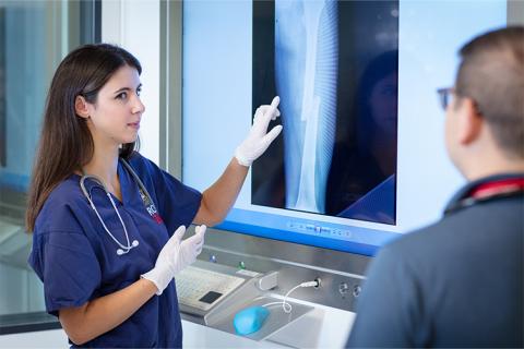 RCSI 6